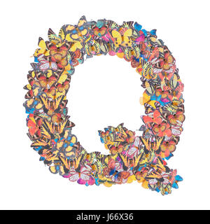 Lettera Q alfabeto con butterfly abc tipo di concetto come isolato del logo su sfondo bianco Foto Stock