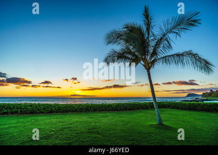 Il tramonto e un albero di palme sotto il cielo blu lungo la costa a Ko Olina sulla costa ovest dell'isola hawaiana di Oahu, con poche nuvole colorate sul Foto Stock