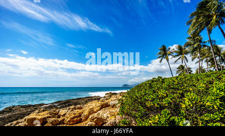 Le coste rocciose e le palme lungo la comunità turistica di Ko Olina sulla costa ovest dell'isola hawaiana di Oahu Foto Stock
