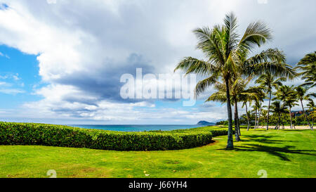 Alberi di palma nel vento sotto il cielo nuvoloso al resort comunità di Ko Olina sulla costa ovest dell'isola hawaiana di Oahu Foto Stock