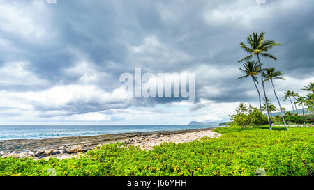 Alberi di palma nel vento sotto il cielo nuvoloso al resort comunità di Ko Olina sulla costa ovest dell'isola hawaiana di Oahu Foto Stock