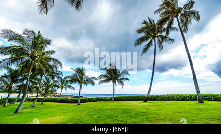 Alberi di palma nel vento sotto il cielo nuvoloso al resort comunità di Ko Olina sulla costa ovest dell'isola hawaiana di Oahu Foto Stock