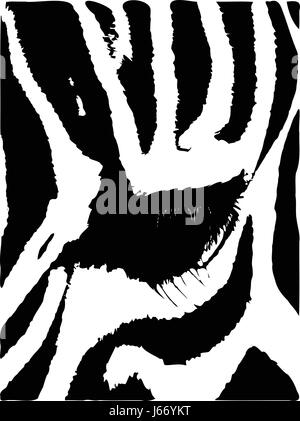 Illustrazione di un occhio di una zebra close up Foto Stock