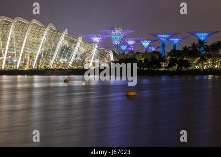 Giardini in Bay, una delle più popolari attrazioni turistiche di Singapore, illuminata di notte. Foto Stock