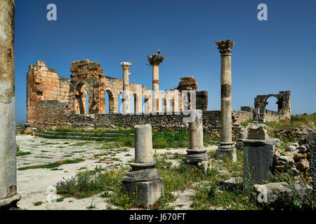 Basilica di Volubilis, escavazione romana in Marocco, Africa Foto Stock