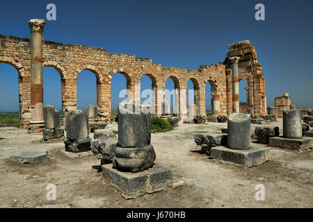 Basilica di Volubilis, escavazione romana in Marocco, Africa Foto Stock