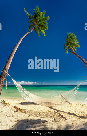 Svuotare amaca sotto alte palme, spiaggia tropicale, nelle isole Fiji Foto Stock