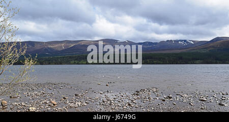 Loch Morlich Riva - Cairngorms in background Foto Stock