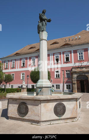 Vac, Vác cittadina nella contea di Pest, situata sul Danubio piegare la zona a nord di Budapest, Ungheria, Europa Foto Stock