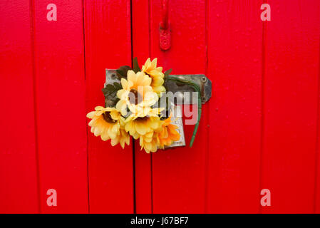 Il giallo dei fiori di plastica sulla Rossa porta di legno,spiaggia capanne, Hove,Sussex Foto Stock