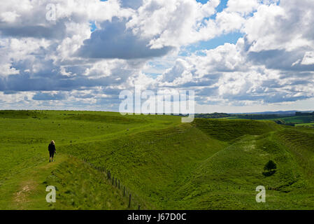 Uomo che cammina sui bastioni di Maiden Castle, un'età del ferro hill fort vicino a Dorchester Dorset, Regno Unito Inghilterra Foto Stock