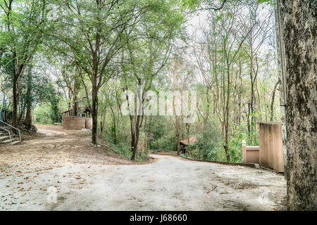 Percorso attraverso un campo lungo gli alberi in estate. Foto Stock