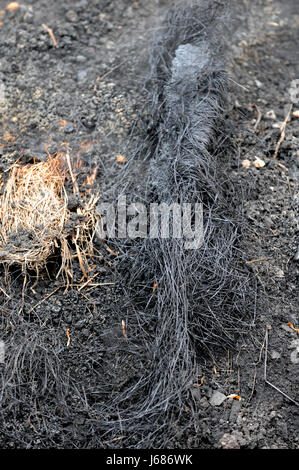 Carbone forno a haltern flaesheim Foto Stock