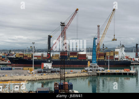 Napier, Nuova Zelanda - 9 Marzo 2017: Penelope contenitore scarica nave nel porto commerciale sotto cieli pesanti. Pile di contenitori, gru ed altri h Foto Stock