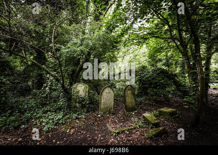 Londra, Regno Unito. Il 20 maggio 2017. Il cimitero di Nunhead Giornata Porte aperte © Guy Corbishley/Alamy Live News Foto Stock