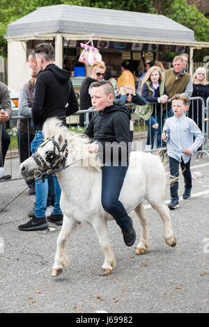 Wickham, Hampshire, Regno Unito. Il 20 maggio 2017. Wickham Fiera Cavalli. Gruppi di viaggiatori gipsy​ incontrarsi con i loro cavalli. L annuale Wickham Fiera Cavalli vicino a Fareham, risale a più di 800 anni ed è frequentato dalla comunità di viaggiatori provenienti da tutto il paese. Credito: Sarà Bailey/Alamy Live News Foto Stock