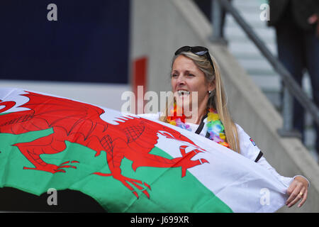 Londra, Regno Unito. Il 20 maggio 2017. Un gallese patriottica ventola alla finale del mondo HSBC Rugby Sevens serie. Credito: Michael Preston/Alamy Live News Foto Stock