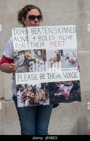 Londra, Regno Unito. Il 20 maggio 2017. Manifestanti stand in Trafalgar square accanto agli altri in tutto il mondo per la lotta della carne di cane benevolenza e compassione giorno chiamando per leggi in tutto il mondo per protestare contro gli animali, soprattutto i cani e gatti che sono crudelmente uccisi per la loro pelliccia e per essere mangiato. Alcuni detenuti cartelloni con immagini orribili di vivere i cani volutamente torturati in mercati in Cina e Corea. La Cina è il più grande esportatore mondiale di indumenti di pelliccia, sourcing le pellicce di cane e gatto nei macelli, cane e tappeti di pelle con la testa ancora attaccata sono popolari in Cina, Credito: Peter Marshall / Alamy L Foto Stock