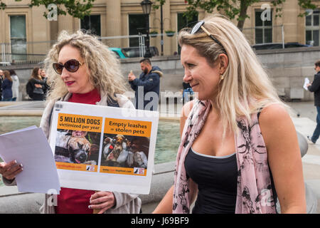 Londra, Regno Unito. Il 20 maggio 2017. Manifestanti stand in Trafalgar square accanto agli altri in tutto il mondo per la lotta della carne di cane benevolenza e compassione giorno chiamando per leggi in tutto il mondo per protestare contro gli animali, soprattutto i cani e gatti che sono crudelmente uccisi per la loro pelliccia e per essere mangiato. Alcuni detenuti cartelloni con immagini orribili di vivere i cani volutamente torturati in mercati in Cina e Corea. La Cina è il più grande esportatore mondiale di indumenti di pelliccia, sourcing le pellicce di cane e gatto nei macelli, cane e tappeti di pelle con la testa ancora attaccata sono popolari in Cina, Credito: Peter Marshall / Alamy L Foto Stock