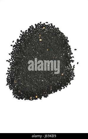 Di cumino nero (nigella sativa) Foto Stock