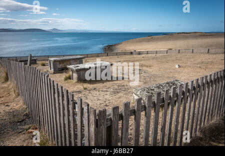 Cimitero abbandonato vicino Darlington, Maria Island, la Tasmania. L'isola i morti venivano sepolti qui dal 1825 al 1942. Foto Stock