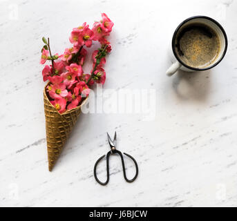 Fiori in cono gelato su Sfondo marmo Foto Stock