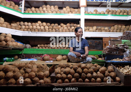 Fornitore indiano si siede dietro un gran mucchio di spellate noci di cocco marrone nel Nuovo Mercato a Calcutta il 11 febbraio, 2016. Foto Stock