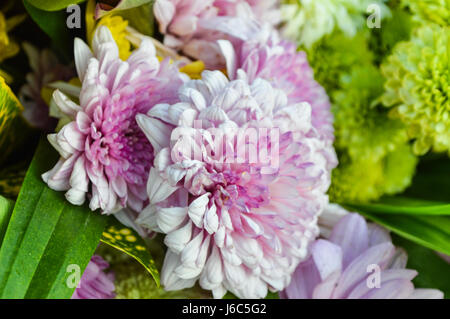 Chiang Rai, Thailandia : Dicembre 29, 2016. Offerte floreali Festival 1a volta del tradizionale rendendo merito cerimonia. Fiore per rendere merito. Foto Stock