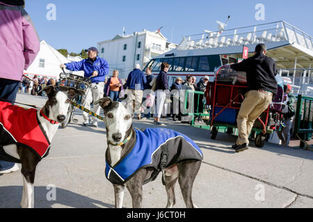 Mackinac Island Michigan, parco storico di Parchi statali Mackinaw, stretto di, Lago Huron, Arnold Ferry Line Dock, Arnold Transit Company, Mackinaw City catamara Foto Stock