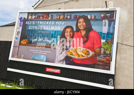 Tesco 48 foglio cartelloni pubblicitari sul sito Primesight di Newport South Wales, Regno Unito Foto Stock