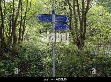 Segno sul ciclo nazionale Route 7 vicino a Callander Scotland Maggio 2017 Foto Stock