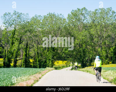 Tre cicloturisti cavalcare le loro biciclette titanio nelle campagne della provincia di Girona, Spagna. Foto Stock