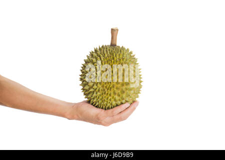 Mano azienda maturo frutta Durian isolati su sfondo bianco Foto Stock