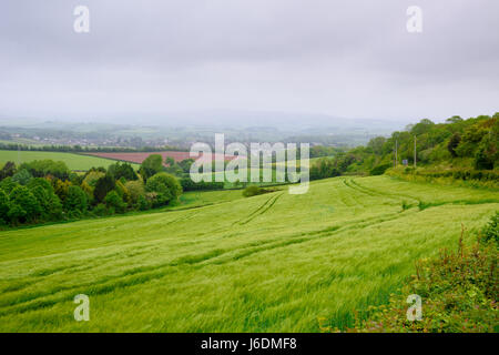 Terreni agricoli a West Quantoxhead affacciato sul villaggio di Williton con Brendon colline oltre. West Somerset, Inghilterra. Foto Stock