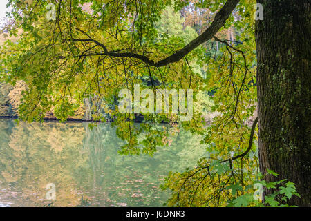 Autunno in Belgio Foto Stock