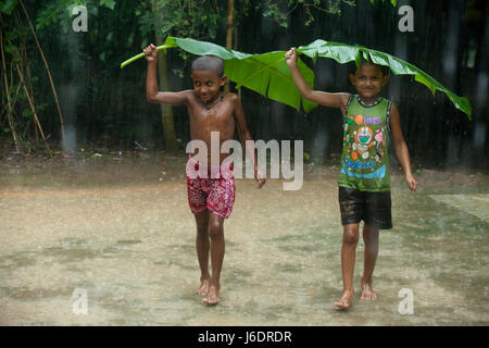 I bambini utilizzano foglie di banano per proteggersi dalla pioggia. Narsingdi, Bangladesh. Foto Stock