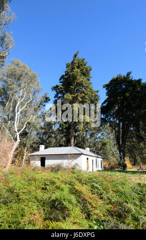 Carrington Row, old abandonned cottages in Joadja città fantasma, kerosene miniera di scisto, Southern Highlands, Nuovo Galles del Sud, NSW, Australia Foto Stock