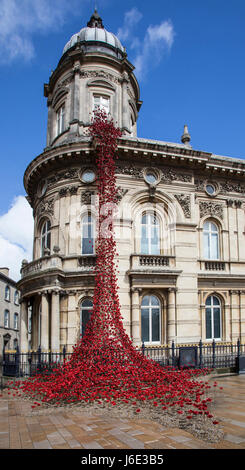 Papaveri finestra piangendo a Hull, fotografato durante il 2017 Città di cultura anno in Hull. Artista è Paolo Cummins e Tom Piper è il Designer. Foto Stock