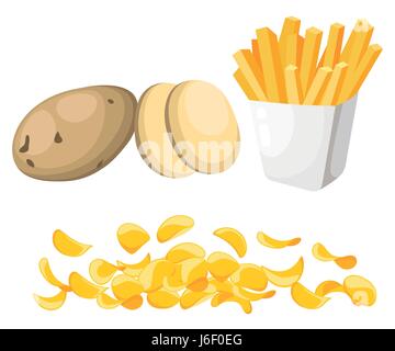 Illustrazione di vettore isolato su sfondo bianco patate insieme di interi, a fette, mezzo, lobulo, cerchio patate chips patatine fritte. Illustrazione Vettoriale