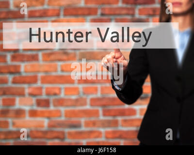 La Hunter Valley - Imprenditrice mano premendo il pulsante sul touch screen interfaccia. Business, tecnologia internet concetto. Stock Photo Foto Stock