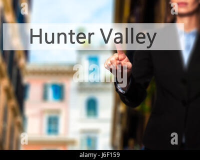 La Hunter Valley - Imprenditrice mano premendo il pulsante sul touch screen interfaccia. Business, tecnologia internet concetto. Stock Photo Foto Stock