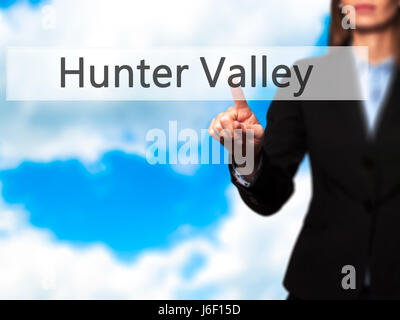 La Hunter Valley - Imprenditrice mano premendo il pulsante sul touch screen interfaccia. Business, tecnologia internet concetto. Stock Photo Foto Stock