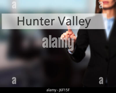 La Hunter Valley - Imprenditrice mano premendo il pulsante sul touch screen interfaccia. Business, tecnologia internet concetto. Stock Photo Foto Stock