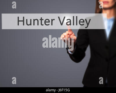 La Hunter Valley - Imprenditrice mano premendo il pulsante sul touch screen interfaccia. Business, tecnologia internet concetto. Stock Photo Foto Stock