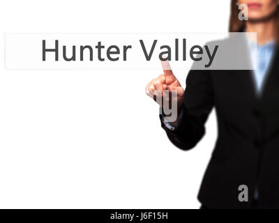La Hunter Valley - Imprenditrice mano premendo il pulsante sul touch screen interfaccia. Business, tecnologia internet concetto. Stock Photo Foto Stock
