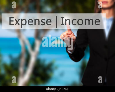 Spese di reddito - Imprenditrice mano premendo il pulsante sul touch screen interfaccia. Business, tecnologia internet concetto. Stock Photo Foto Stock