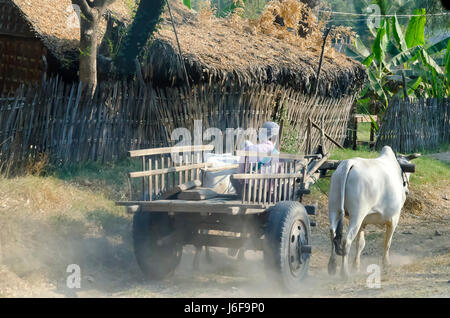 Carrello di giovenco sulla strada vicino a Bagan, Myanmar. Foto Stock