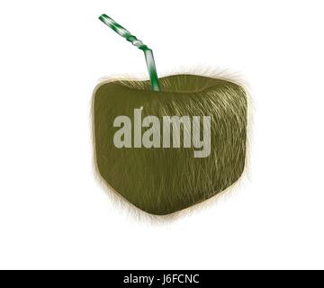 Frutta succo di frutta esotica soda cocktail long-drink calice di vetro tumbler cibo aliment Foto Stock