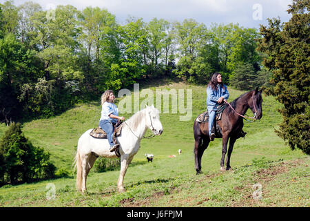 Sevierville Tennessee, Smoky Mountains, Five Oaks Riding Stables, equitazione, donna femminile, nativi americani, uomo, guida sentiero, cavallo, animale, equest Foto Stock