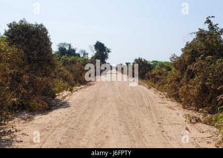 Brasiliano della strada sterrata in prospettiva. Famosi brasiliani Transpantaneira strada sterrata. Area Pantanal, Brasile Foto Stock